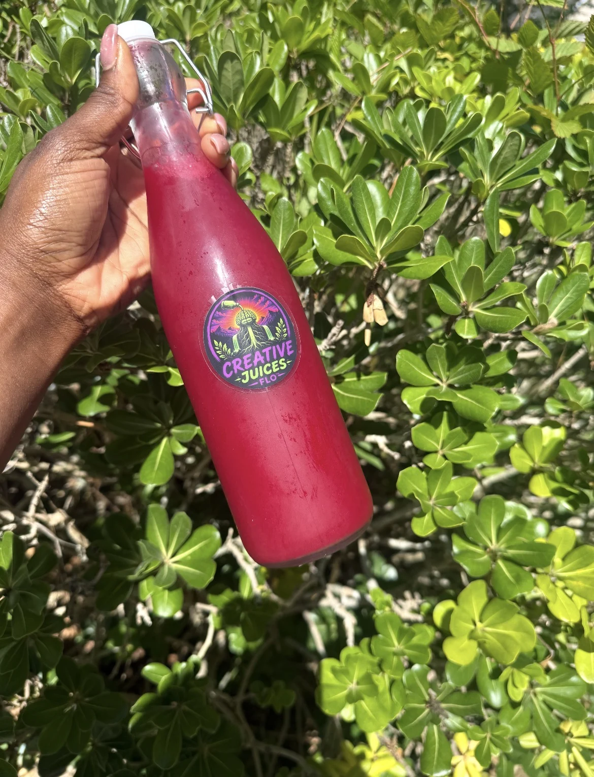 Live pink Creative Juices Flo bottle held near bright green leaves